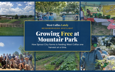 Growing Free: How Sprout City Farms Is Feeding West Colfax One Harvest at a Time